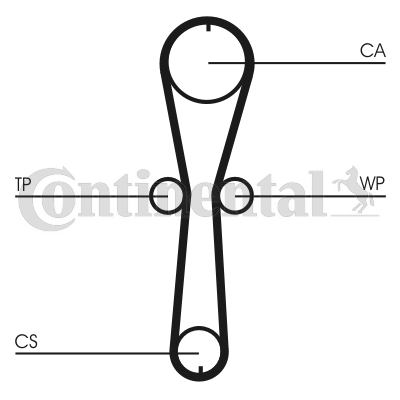 Cinghia di distribuzione CONTITECH CT915