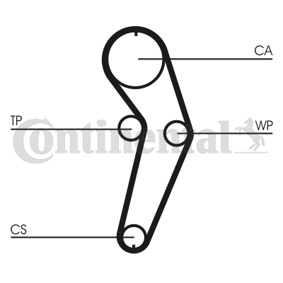 Cinghia di distribuzione CONTITECH CT988