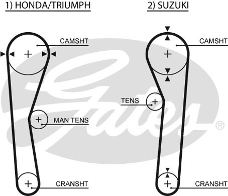 Cinghia distribuzione GATES 5019