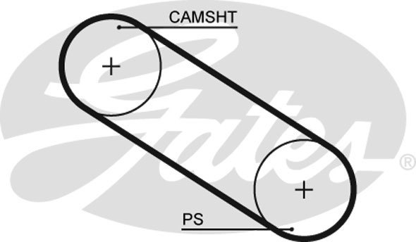 Cinghia distribuzione GATES 5026