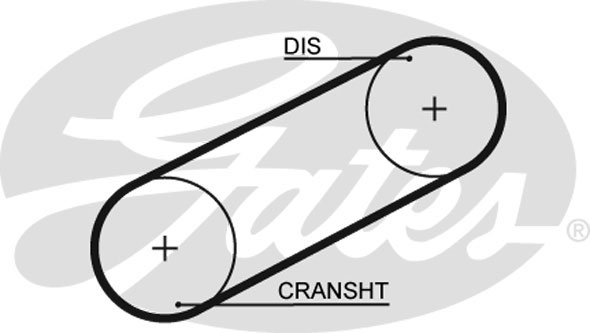 Cinghia distribuzione GATES 5101