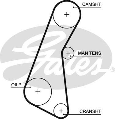 Cinghia distribuzione GATES 5121
