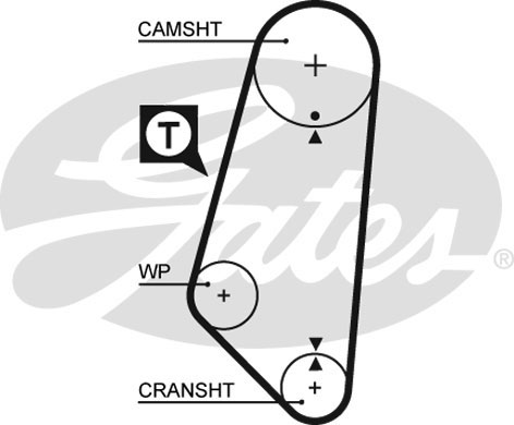 Cinghia distribuzione GATES 5400
