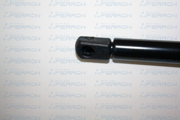 Pistone baule FERRON 0391